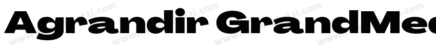 Agrandir GrandMediumItalic字体转换